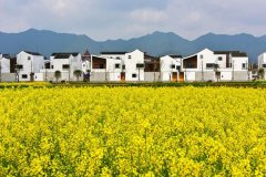 輕鋼別墅建設鄉村特色小鎮 全程環(huán)保材料
