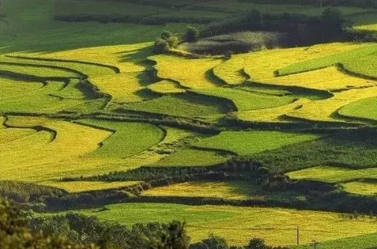 農村風(fēng)景